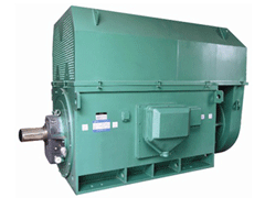 遵义Y系列6KV高压电机品质保证